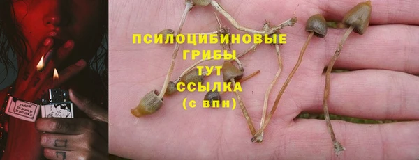 мет Арсеньев